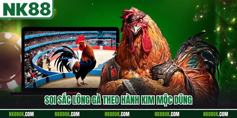 Soi sắc lông gà theo hành kim mộc dũng